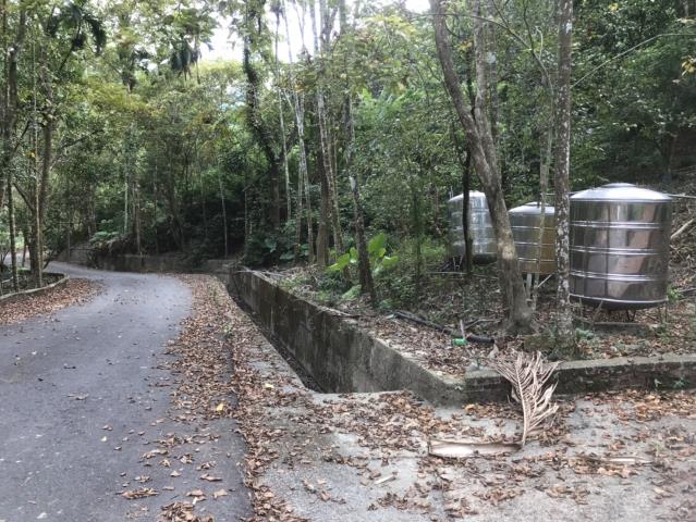 南投鹿谷農地-1