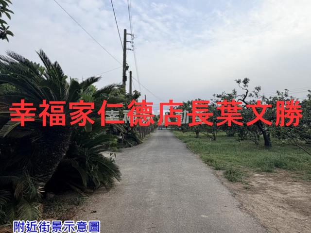 麻豆農地-4