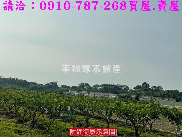 台南農地-5