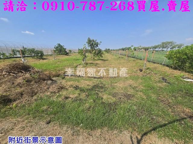 台南農地-6