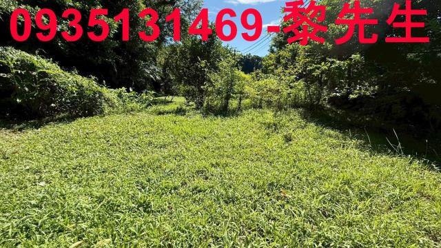 新竹關西農地-1