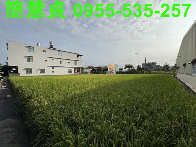 南投草屯農地-3