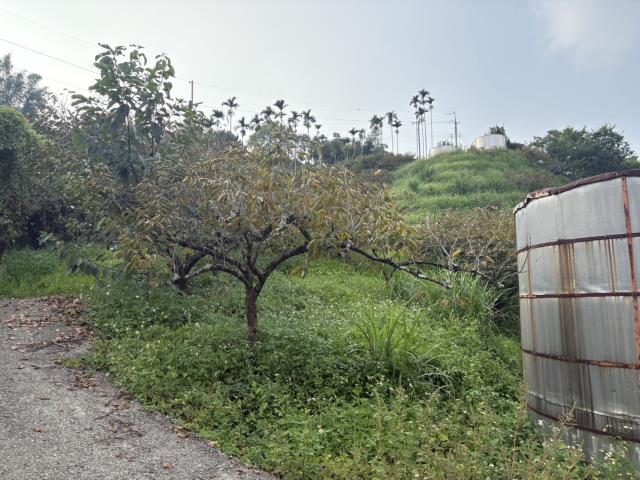 台中東勢山坡地-2