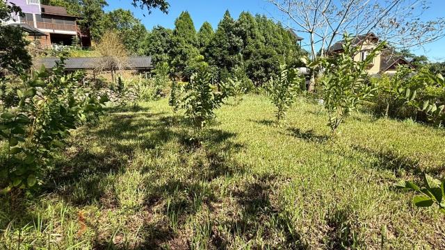 新竹橫山農地-12