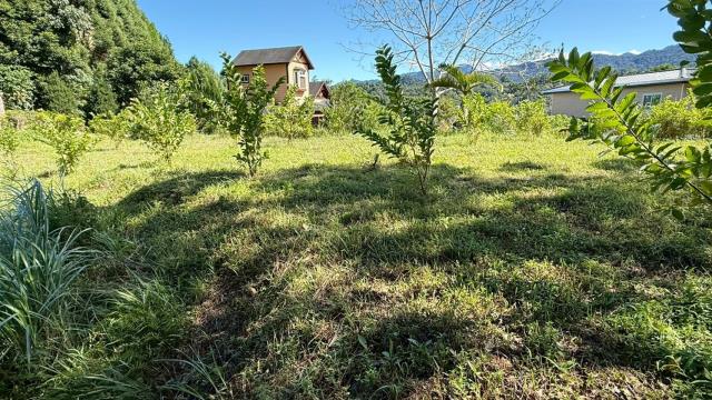 新竹橫山農地-7