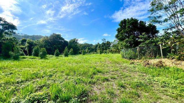 新竹竹東農地-14