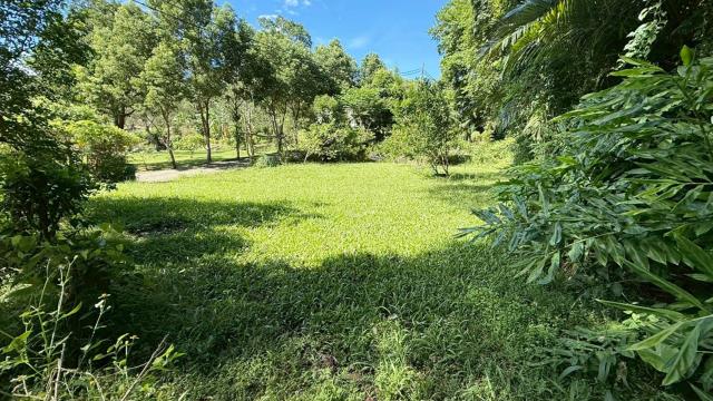 新竹關西農地-8