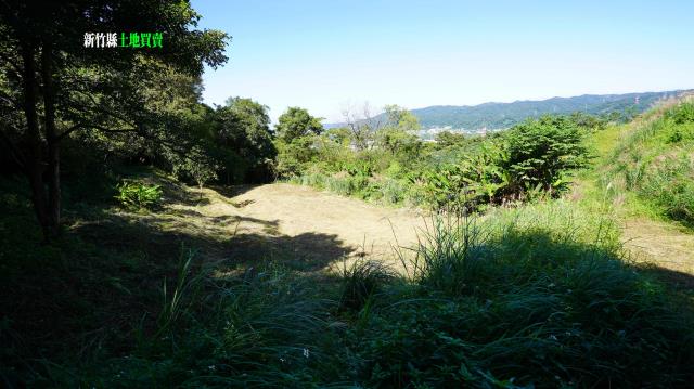 新竹農地-11