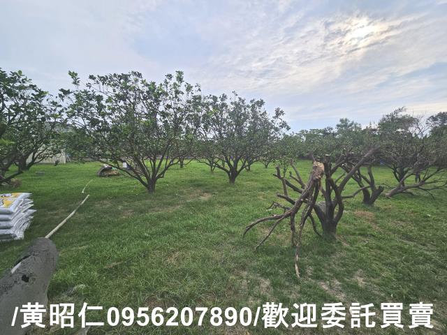 台南麻豆農地-3