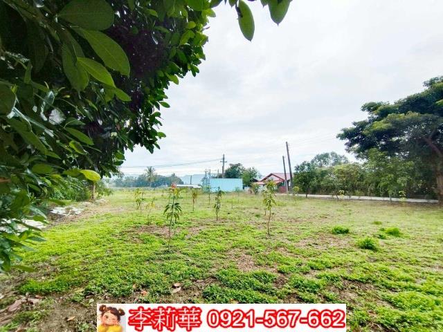 台南楠西農地-4