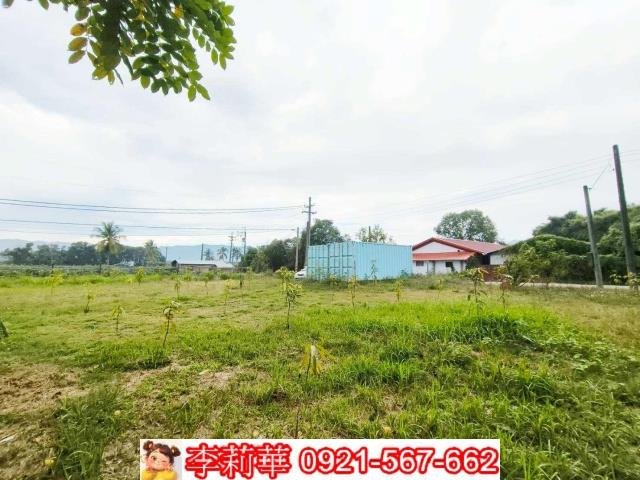 台南楠西農地-6