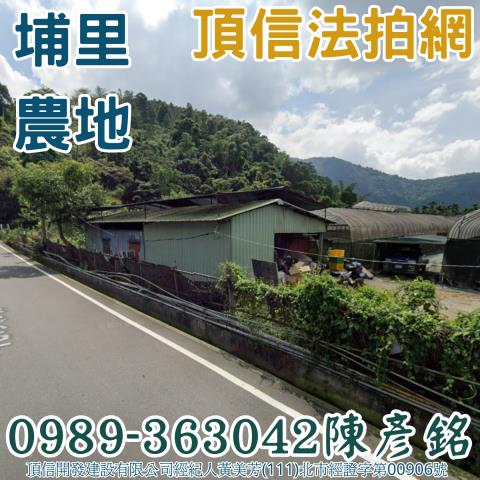 埔里農地法拍-1