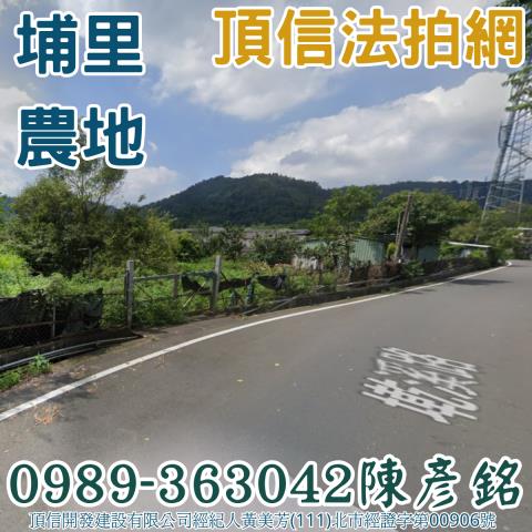 埔里農地法拍-2