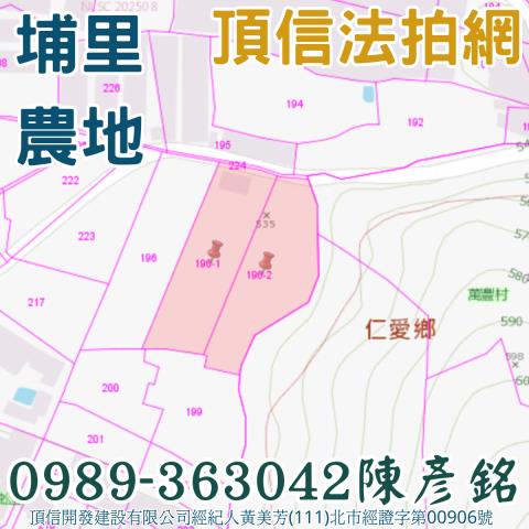 埔里農地法拍-4