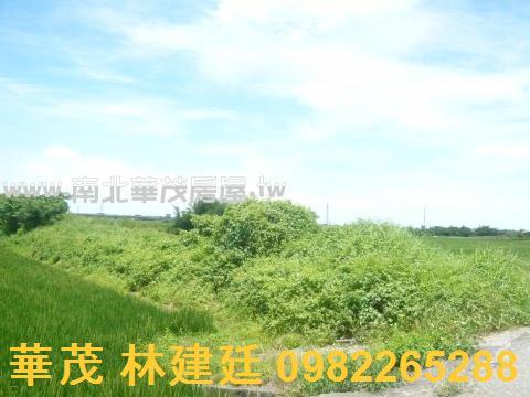柳營拍賣農地-4