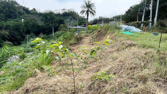 新竹寶山農地-10