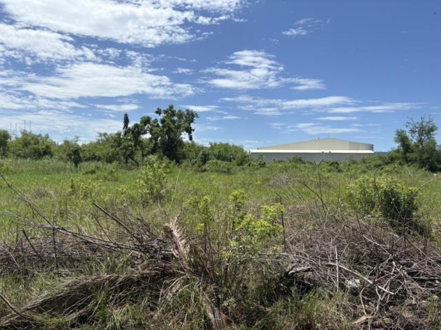 台南安南農地-3