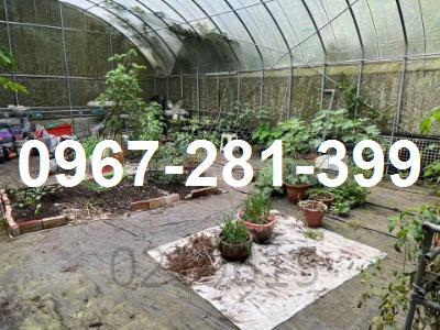 苗栗南庄農地-4