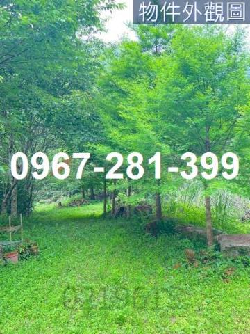 苗栗南庄農地-6