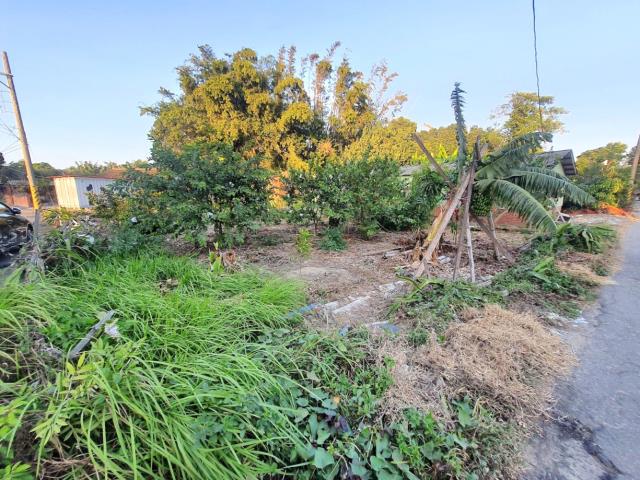 台南佳里農地-5