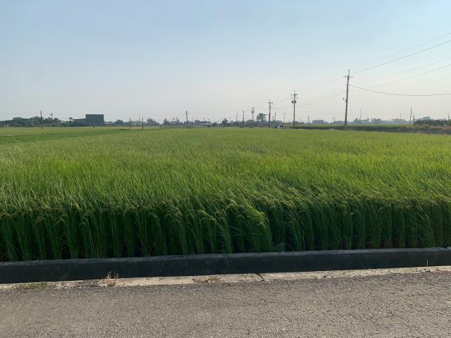 嘉義農地-8