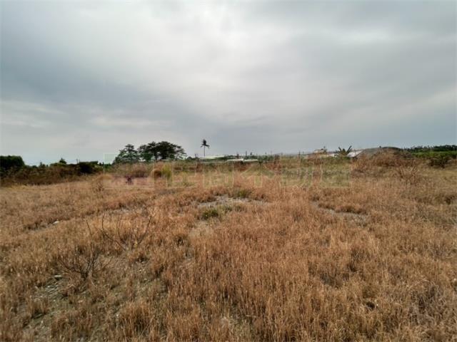 屏東里港農地-5