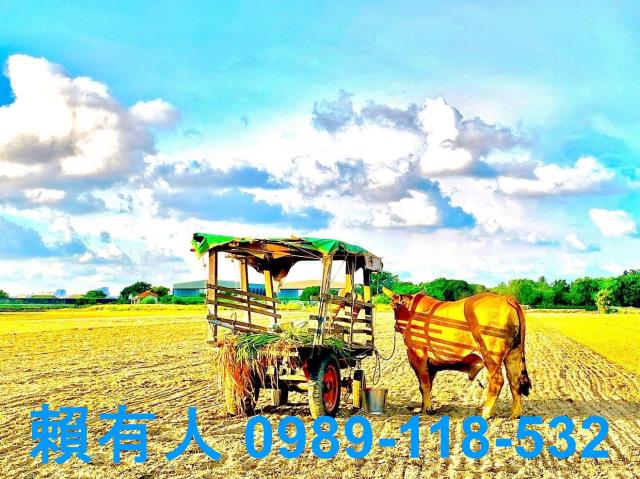 台南仁德農地-6