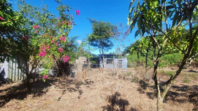 新竹橫山農地-13