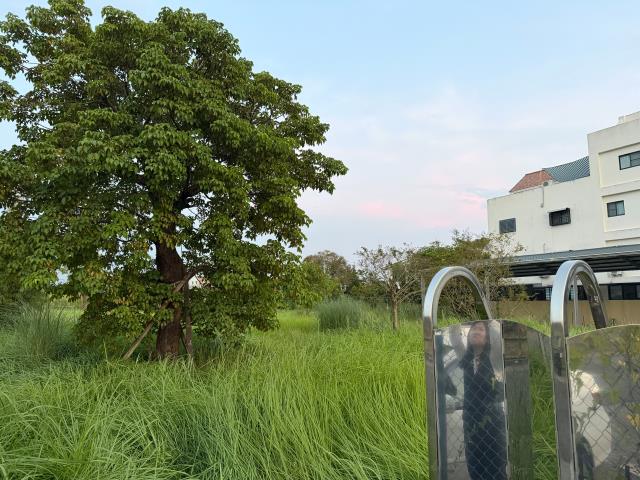 台南關廟農地-8