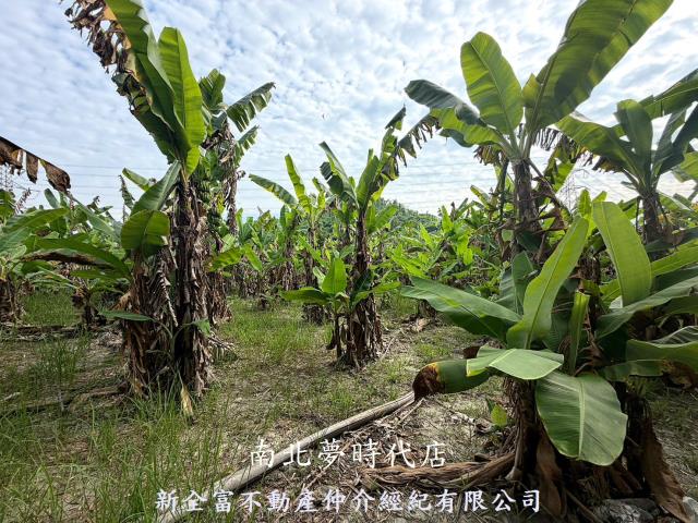 台南左鎮農地-10