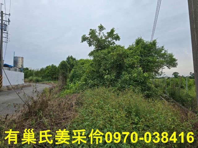 嘉義民雄農地-11