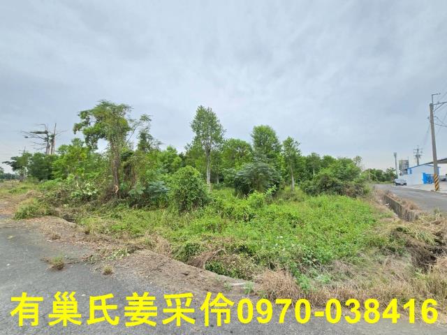 嘉義民雄農地-1