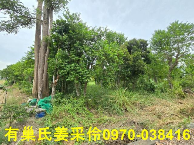 嘉義民雄農地-5