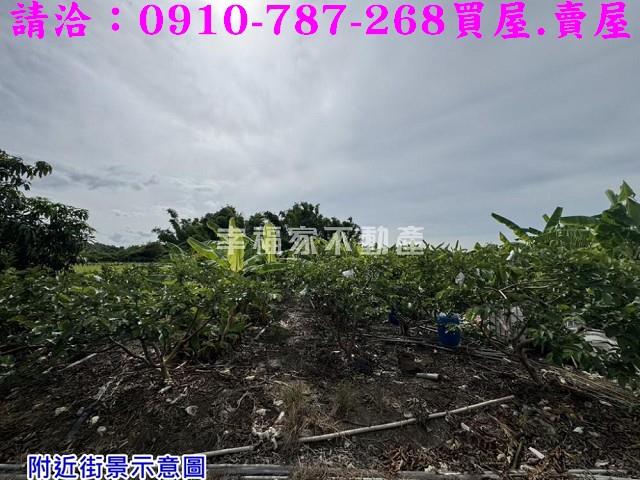 台南農地-15