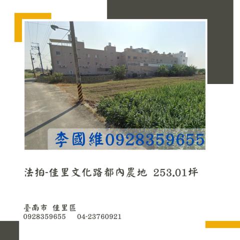 台南佳里農地法拍-1