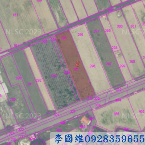 嘉義布袋法拍農地-3