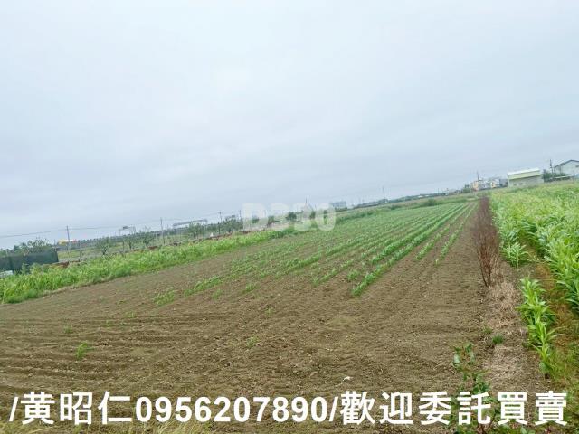 台南農地-12
