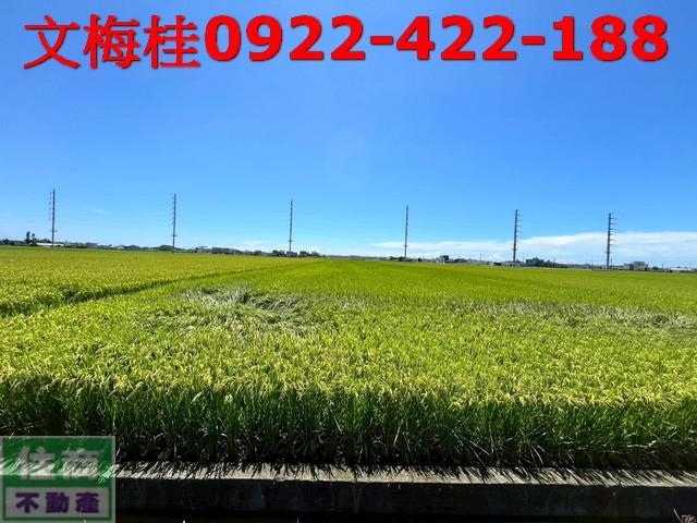 宜蘭壯圍農地-1