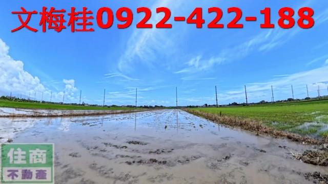 宜蘭壯圍農地-3