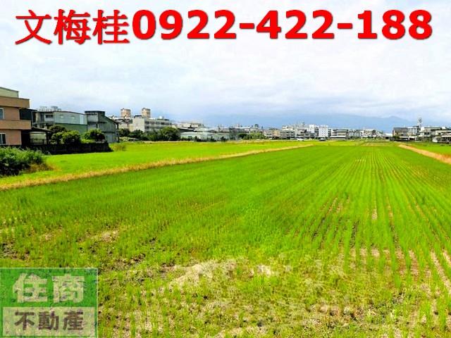 宜蘭宜蘭市農地-1