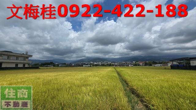 宜蘭宜蘭市農地-6