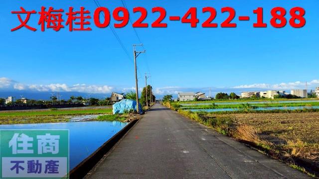 宜蘭宜蘭市農地-5