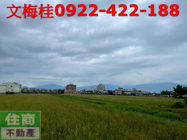 宜蘭宜蘭市農地-11