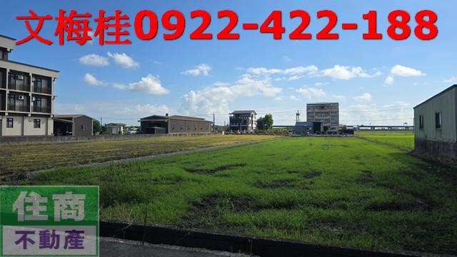 宜蘭宜蘭市農地-3