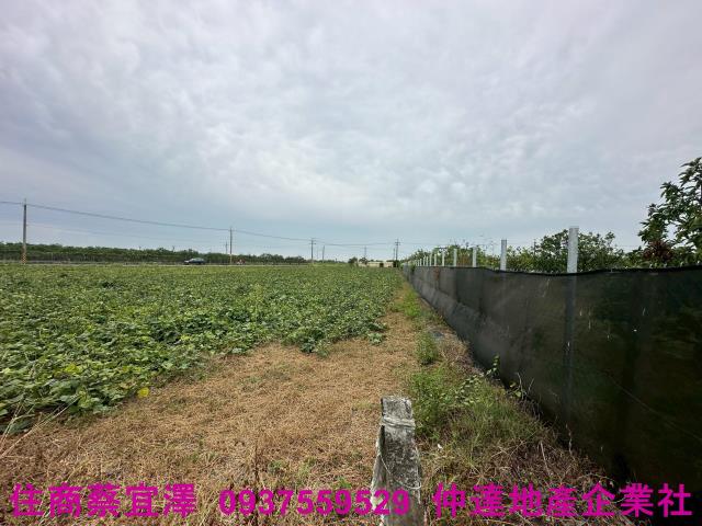 台南麻豆農地-4