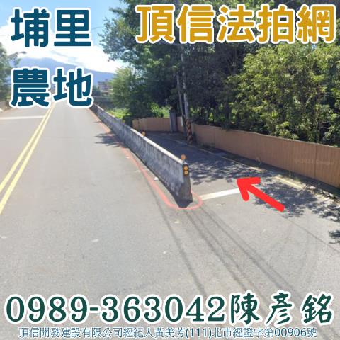 埔里農地法拍-2