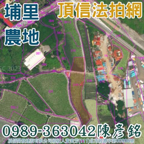 埔里農地法拍-4