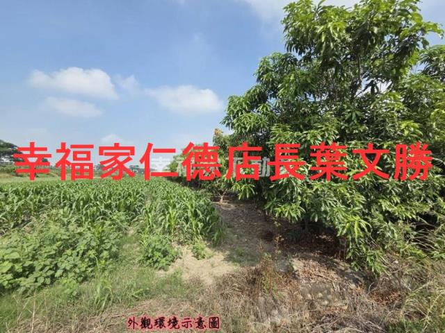 台南安定農地-2