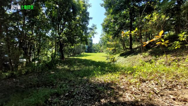 新竹關西農地-3