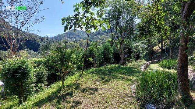 新竹關西農地-5